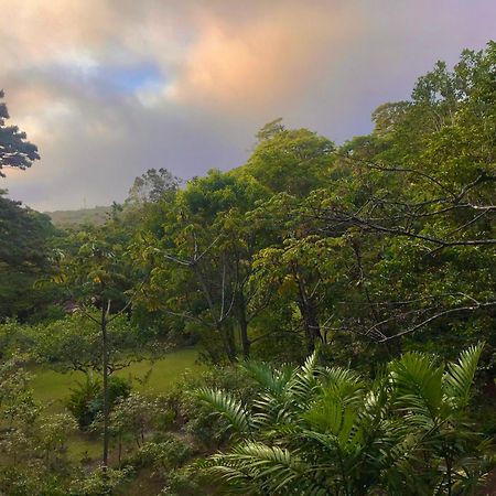 Yerbabuena Lodge Monteverde Eksteriør bilde