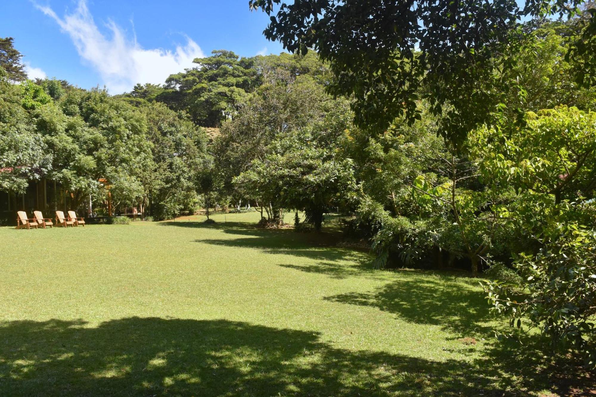 Yerbabuena Lodge Monteverde Eksteriør bilde